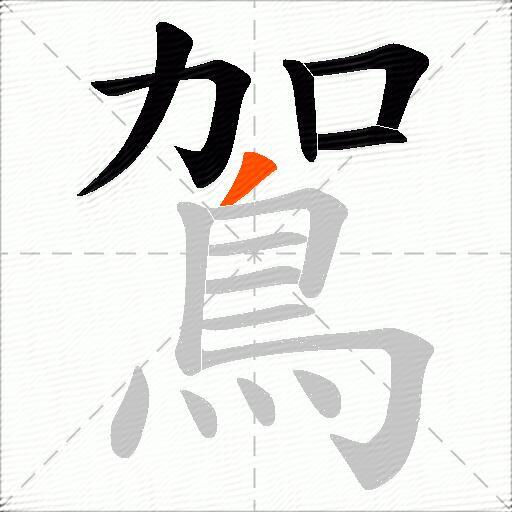 鴐