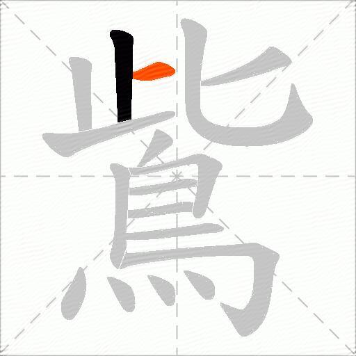 鴜