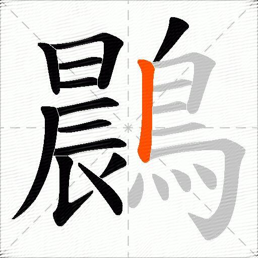 鷐