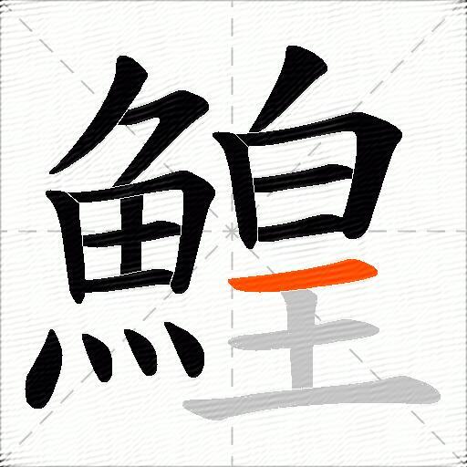 鰉