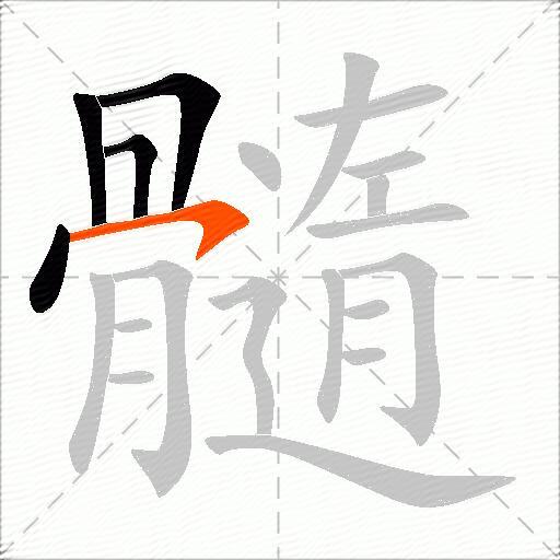 髓