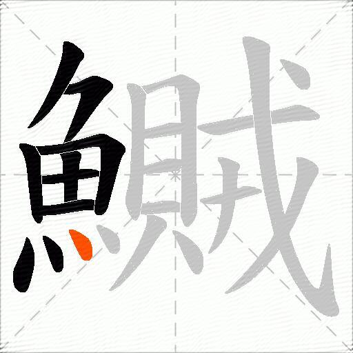 鱡