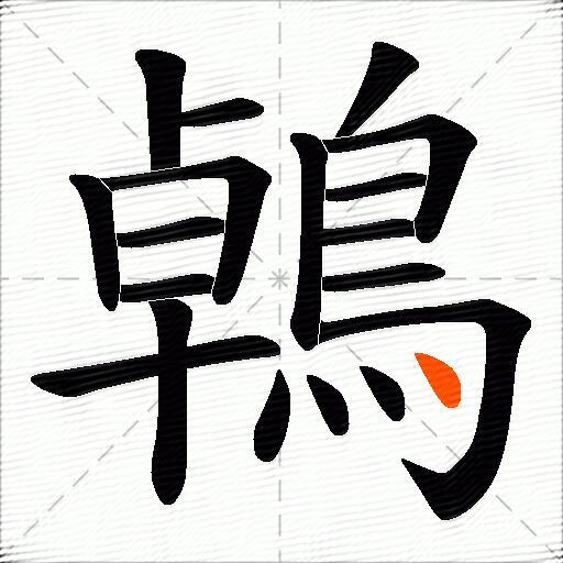 鵫
