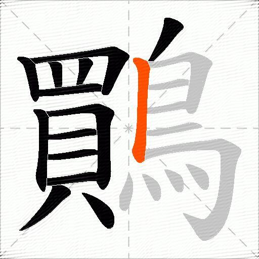 鷶