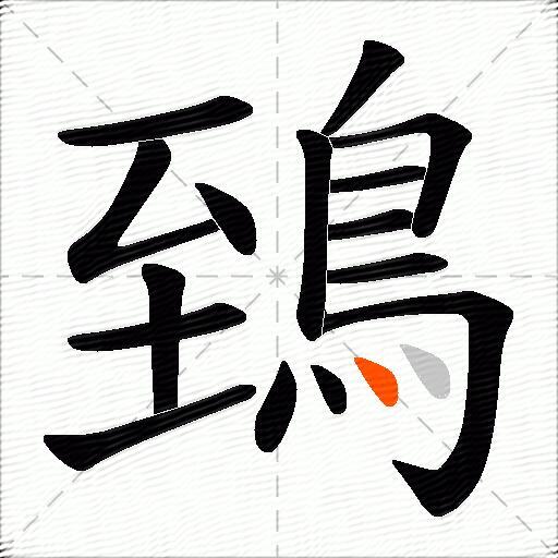 鵄