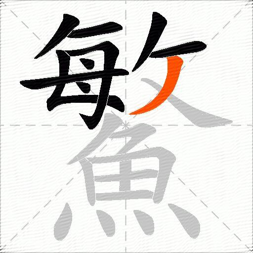 鰵