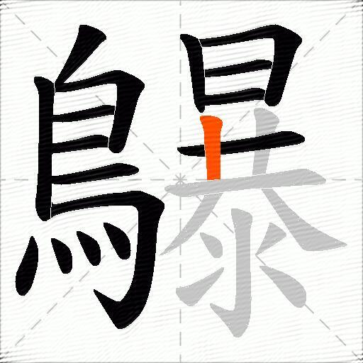 鸔