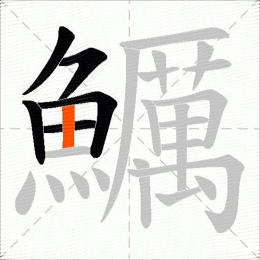 鱱