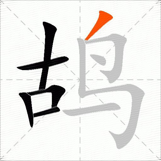鸪