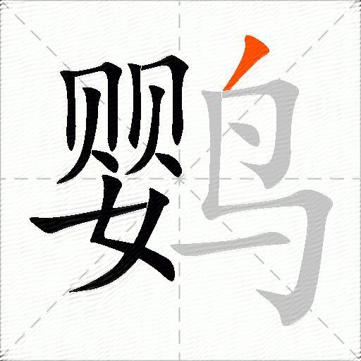 鹦