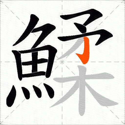 鰇