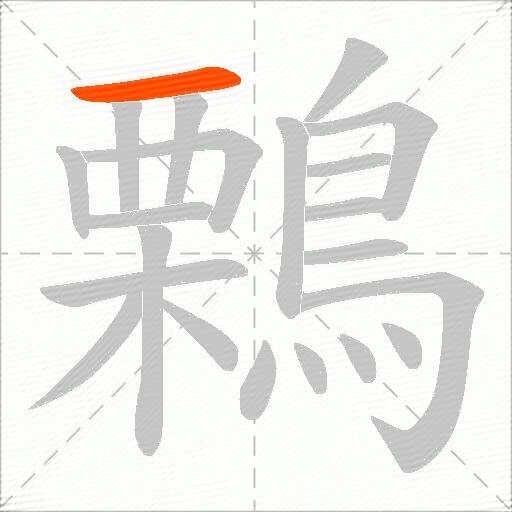 鷅