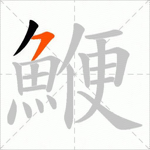 鯾