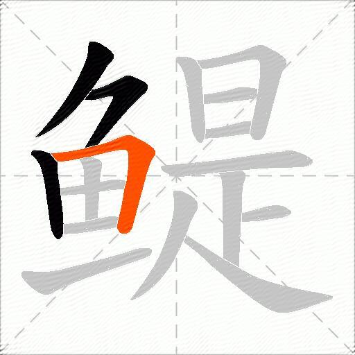 鳀