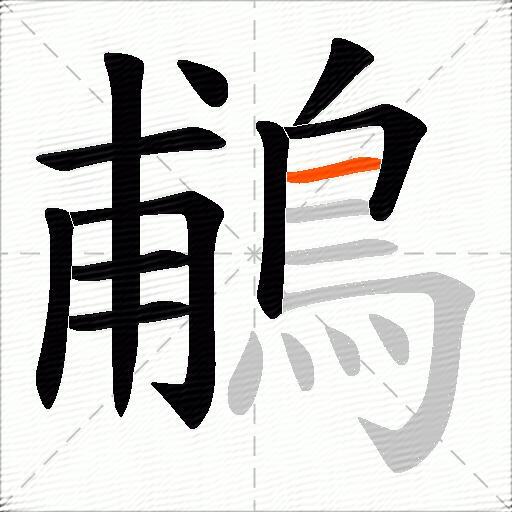 鵏