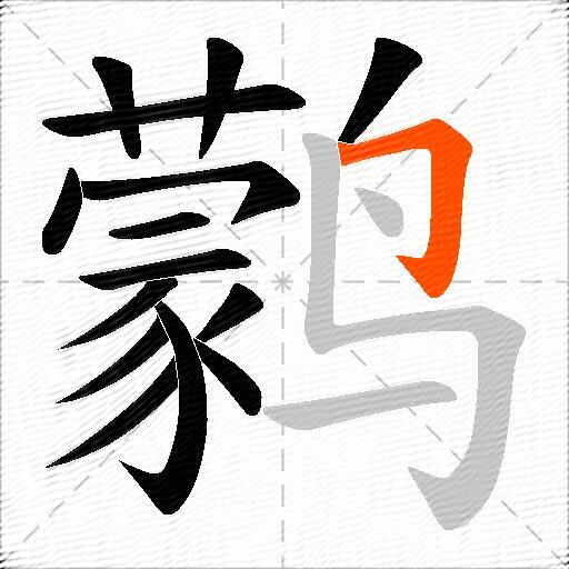 鹲