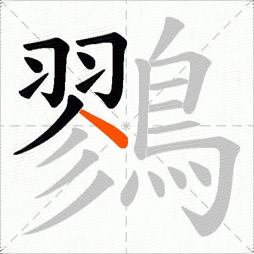 鷚