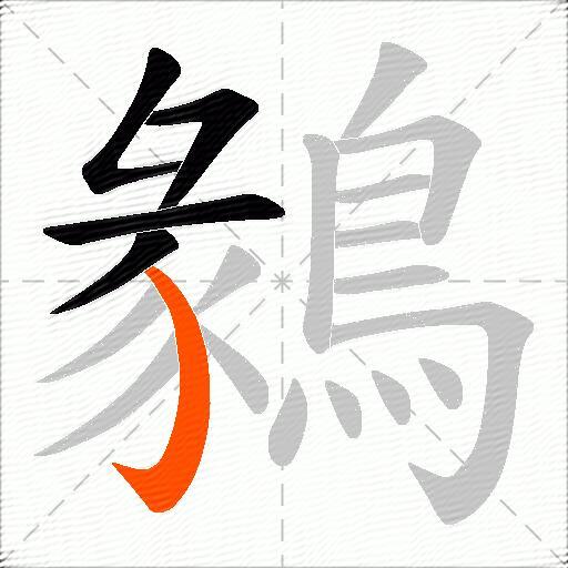 鶨