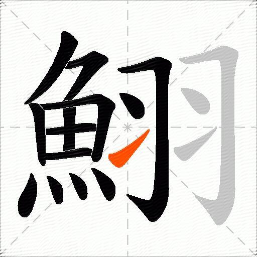 鮙