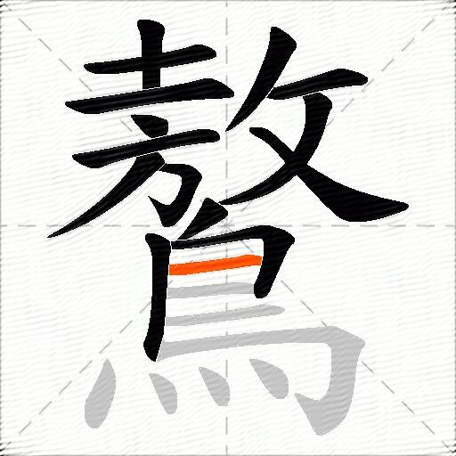 鷔