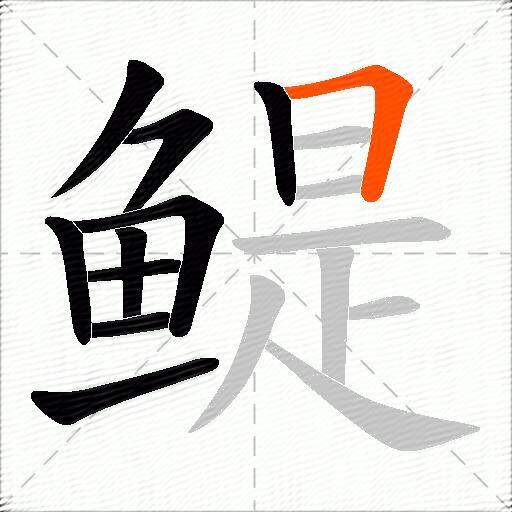 鳀