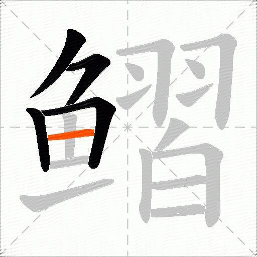 鳛