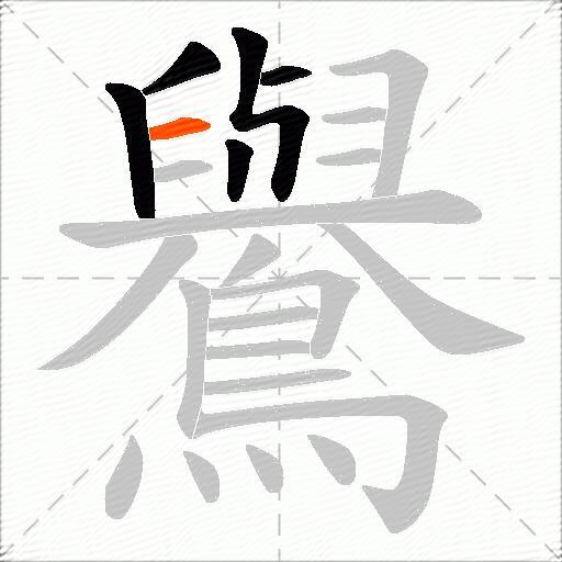 鸒