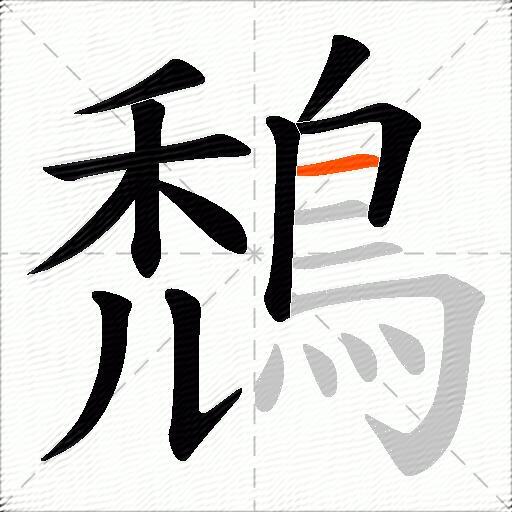 鵚
