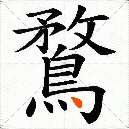 鶩