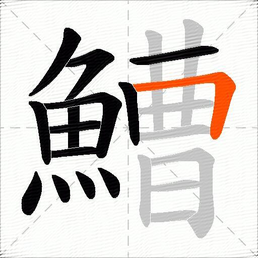 鰽