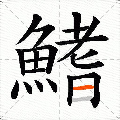 鰭
