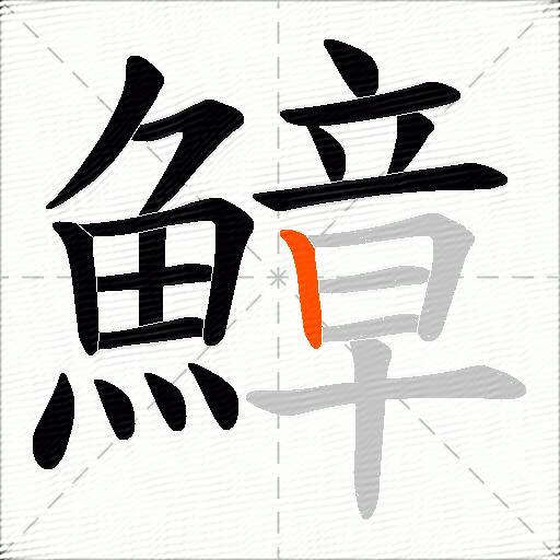 鱆