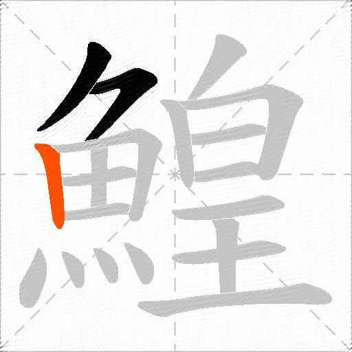 鰉