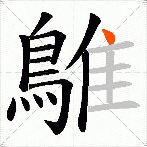 鵻