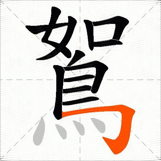 鴽
