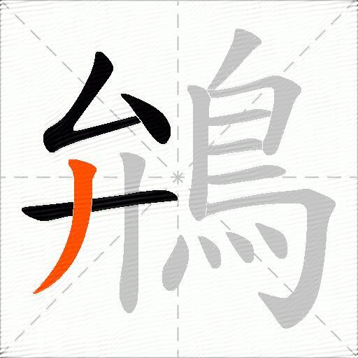 鴘