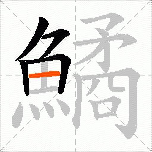 鱊