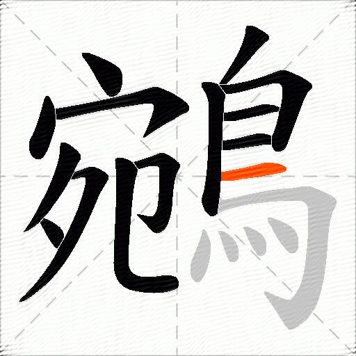 鵷