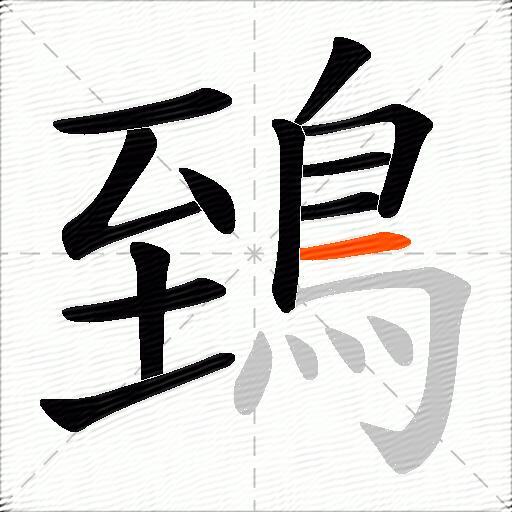 鵄
