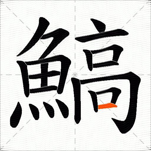 鰝