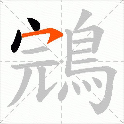 鵍
