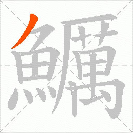 鱱
