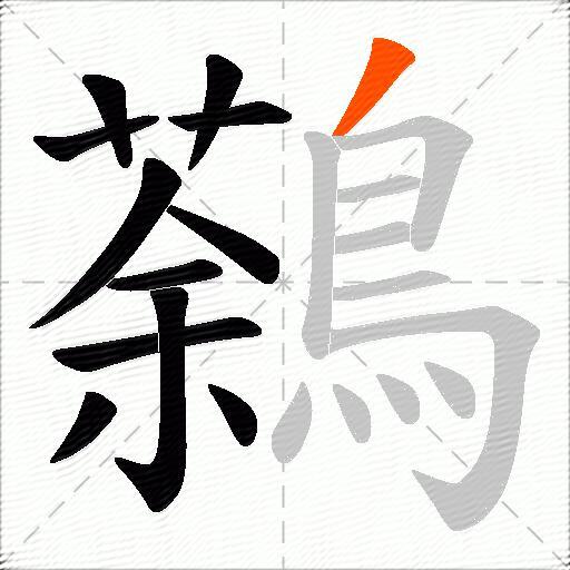鷋