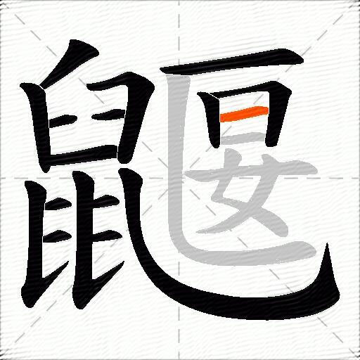 鼴