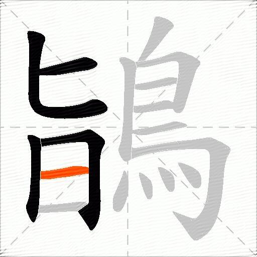 鴲