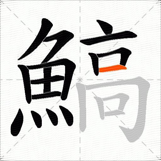 鰝