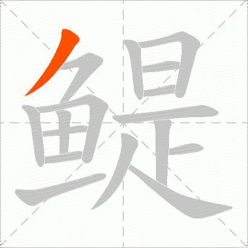 鳀