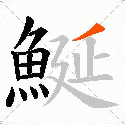 鯅