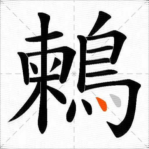 鶫