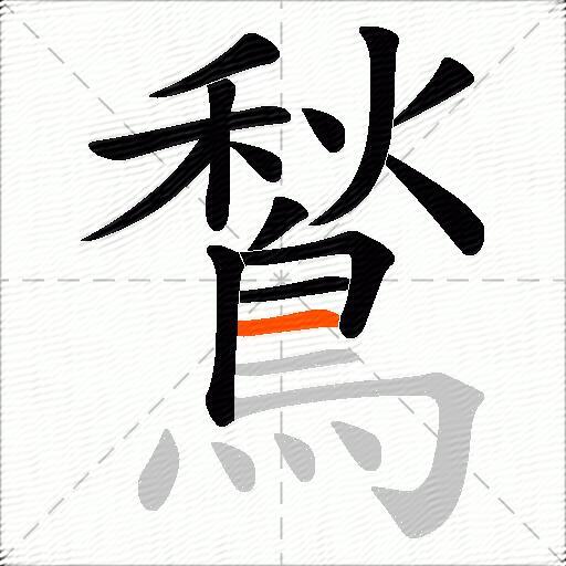 鶖